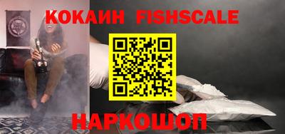 крисы Кунгур