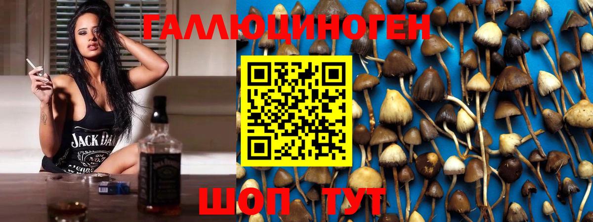 Галлюциногенные грибы Psilocybine cubensis  Галлюциногенные грибы мухоморы  Вход с VPN  Гусь-Хрустальный 
